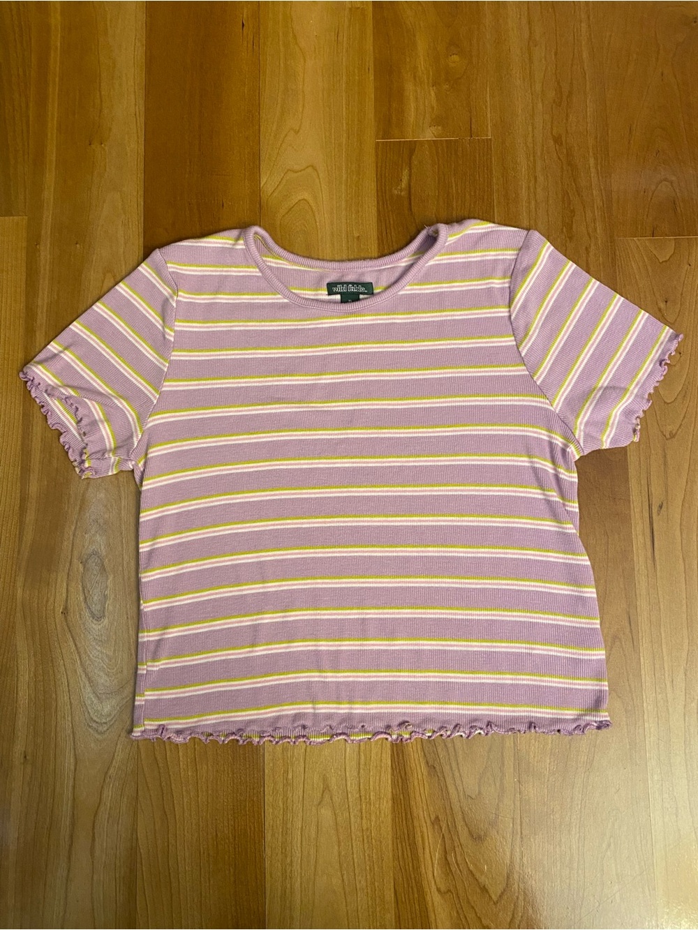 NWOT Wild Fable Striped Crop Top